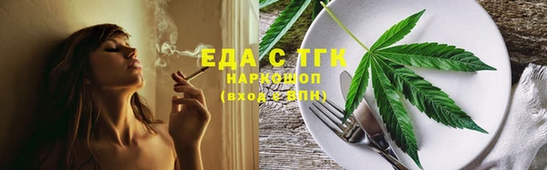 гидра Богородск