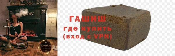 гидра Богородск