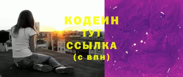 гидра Богородск