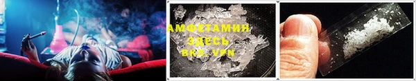 гидра Богородск
