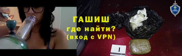 гидра Богородск