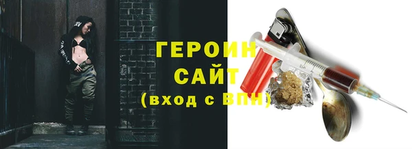 гидра Богородск