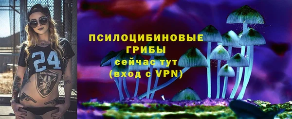 гидра Богородск