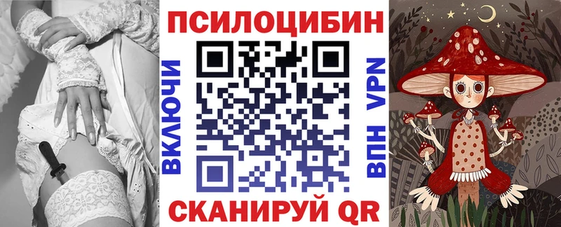 Галлюциногенные грибы мицелий  купить закладку  Верхотурье 